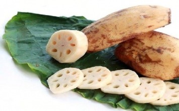 Lợi và hại từ củ sen